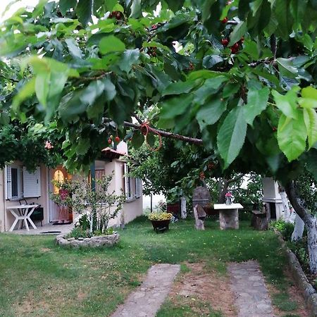 Apartament Meteora'S Sunset Kalambaka Zewnętrze zdjęcie