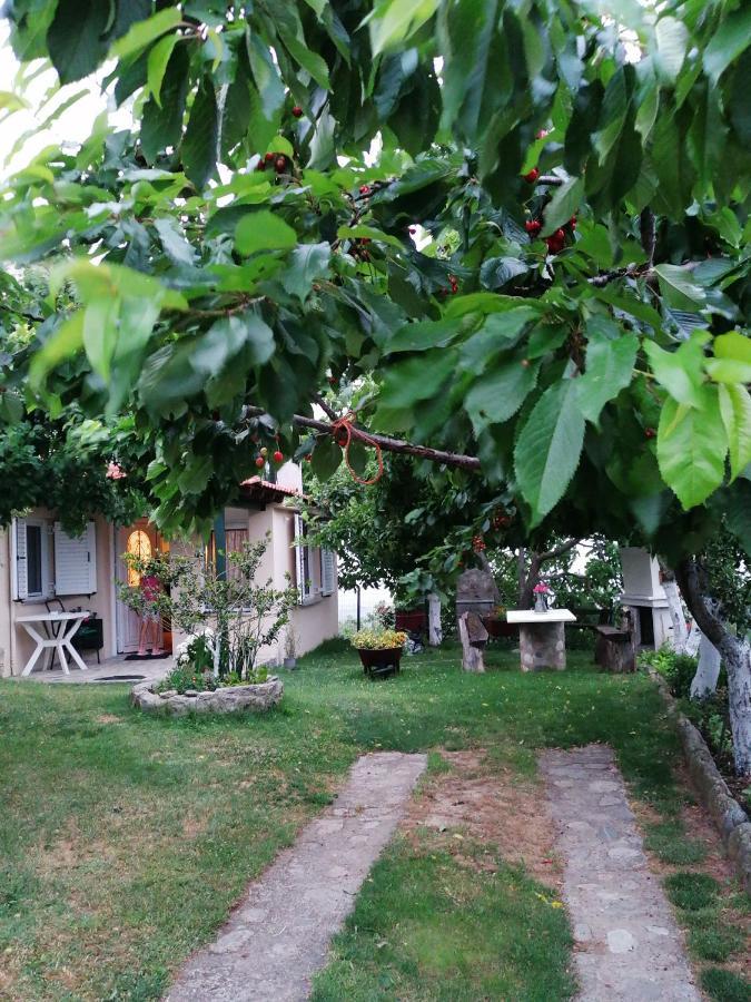 Apartament Meteora'S Sunset Kalambaka Zewnętrze zdjęcie