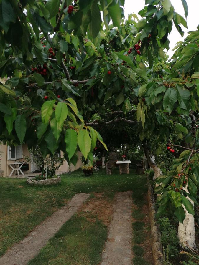 Apartament Meteora'S Sunset Kalambaka Zewnętrze zdjęcie